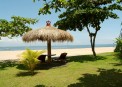 Bali Tropic: 